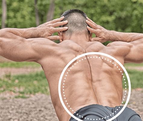 10 Dumbbell Lower Back Exercises For The Ultimate Workout