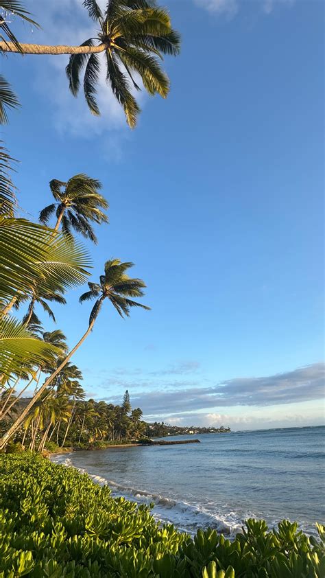 AnaCherí | LOST IN PARADISE My 2019 Paradise Calendar is available now