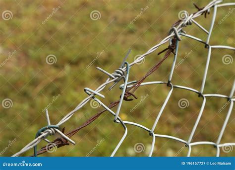 Steel Wire Mesh Fence in the Garden Stock Image - Image of industrial ...