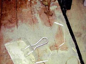 Laci Peterson Autopsy: The Science Behind the Evidence - 5pbs98u