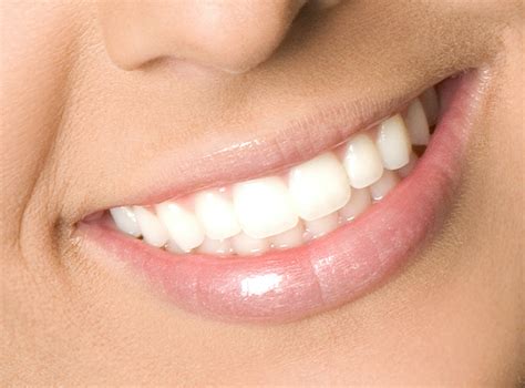 endodontics treatment lyons dental specialties