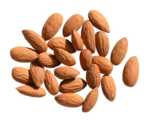 Almond PNG HD | PNG Mart