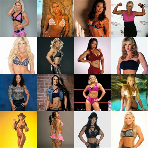 FitGems Nation Blog: Miss WWE Fitness Diva Tournament (Big Cross