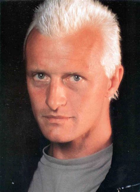 Rutger Hauer | Batpedia | Fandom