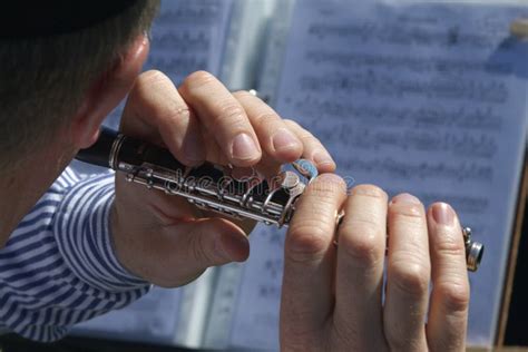 Piccolo Flute stock photo. Image of musician, classical - 2564930