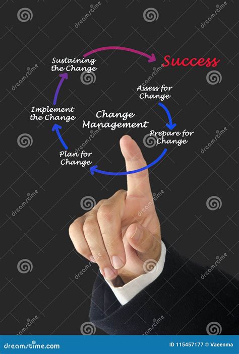 diagram  change management stock image image  drawing