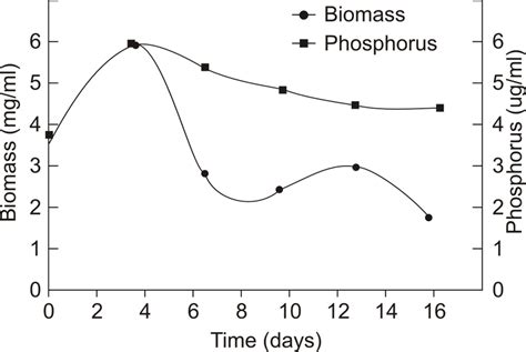 Mucor javanicus growth curve and inorganic phosphorus content ...