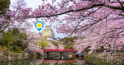 visit tourist destinations  japan