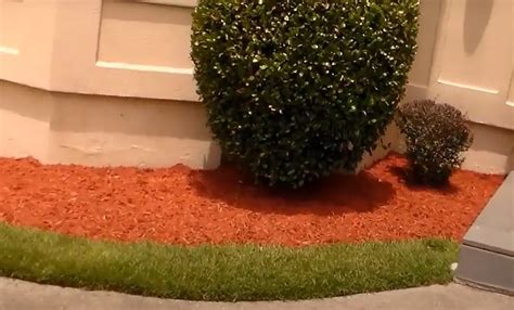 Red Mulch Landscaping Ideas - GardenProfy