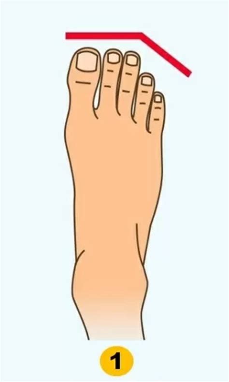 ¡Mira hacia abajo! Esto es lo que dice la forma de tus pies acerca de