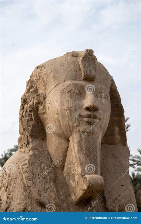 close  photo   face  sphinx stock photo image  face travel