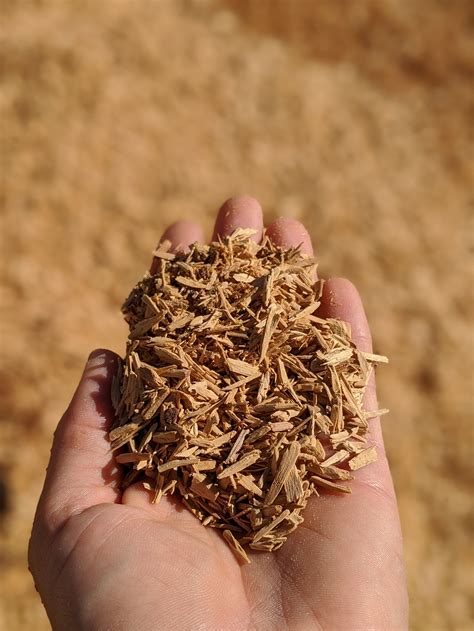 Biodiversity — Dutjahn Sandalwood Oils