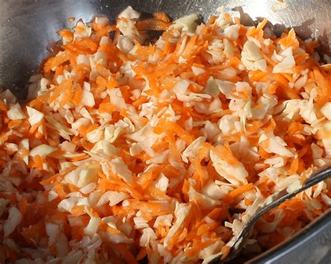 Cabbage Carrot Slaw | Fanatic Cook