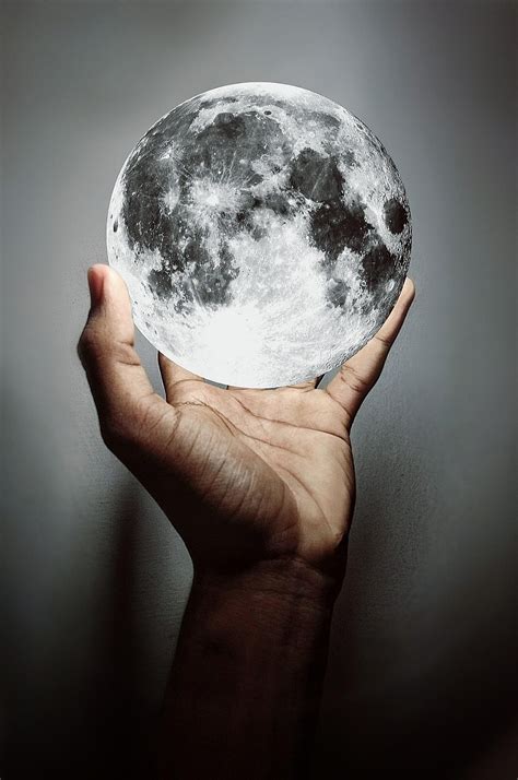 catching moon moon images pixabay