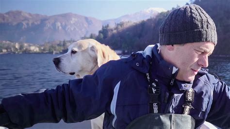 dogs netflix official site