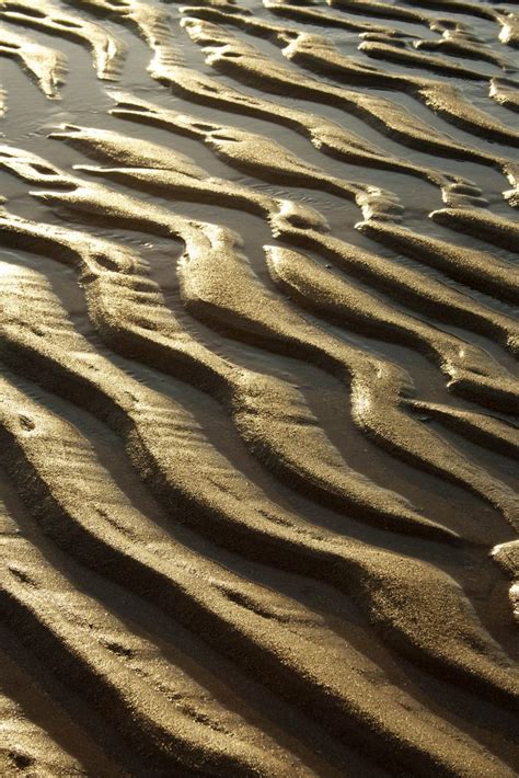 sand patterns | Patterns in nature, Texture inspiration, Nature inspiration