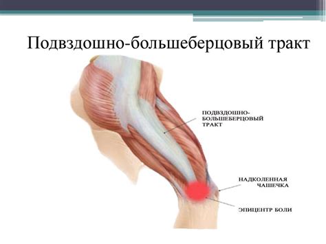 Биомеханика стопы - презентация онлайн