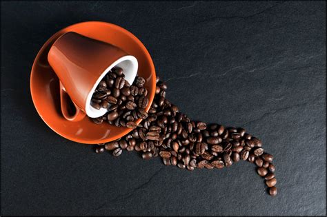 Critics Are Questioning If Coffee Immune System Claims Are Actually True - RYZE Superfoods