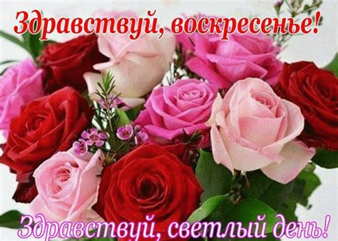 Желаю хорошего Воскресенья! | Открытки и картинки бесплатно
