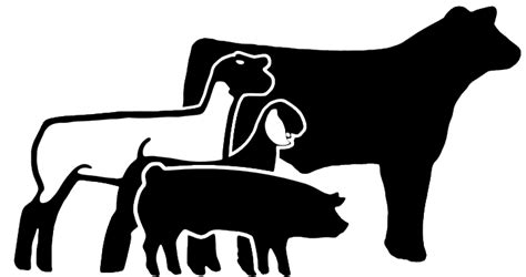 Show Cattle Silhouette at GetDrawings | Free download