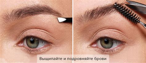 Выщипайте и подровняйте брови | Брови, Натуральный макияж глаз, Советы ...