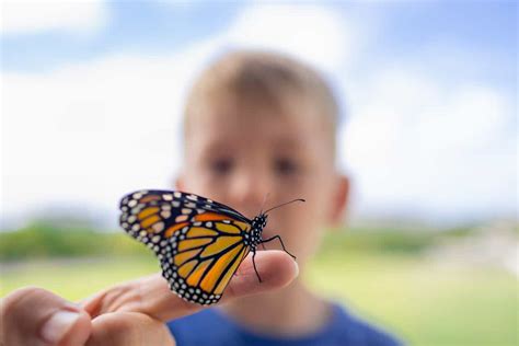 Memorial Service Ideas: Tips on the Decor, Program, and Location