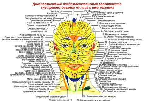 Массаж шиацу лица и тела: техника, противопоказания, видео | Ваш Массаж
