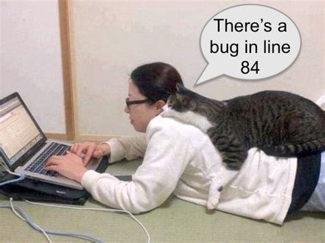 Why are some programmers obsessed with cats? – Michael Broad