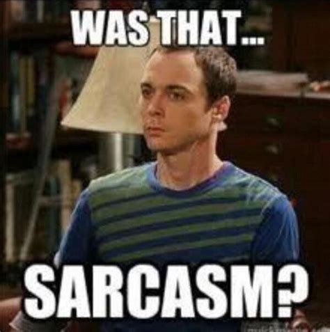 The Big Bang Theory - Sheldon "Was That Sarcasm" ??? | Sarcasm, Big ...
