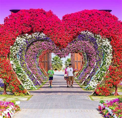 Kültür sanat eğlence: Dünyanın en büyük bahçesi: Dubai Miracle Garden