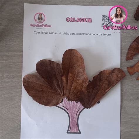 Colagem Meio Ambiente