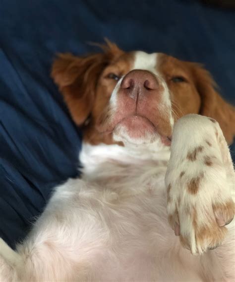 This guide explains why you should schedule a schedule today 28