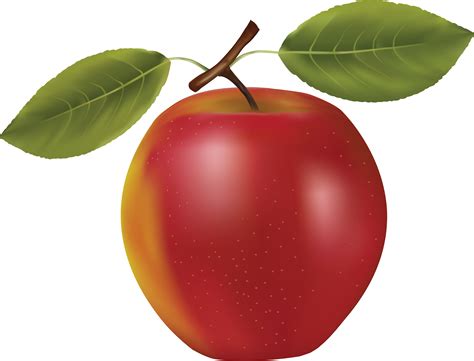 Яблоко PNG