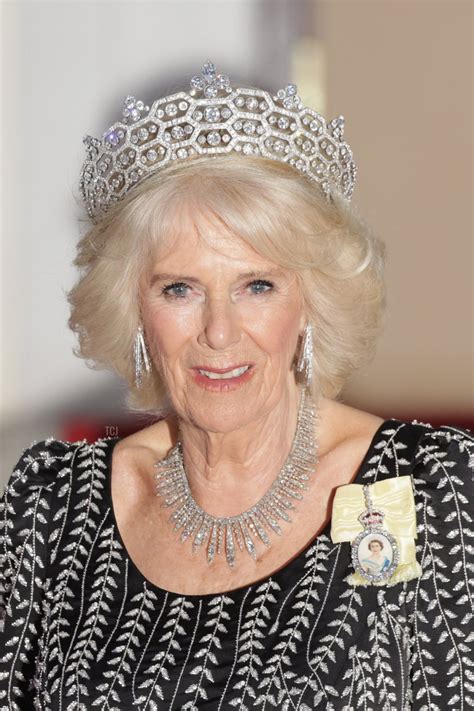 Queen Camilla Dazzles in Royal Diamonds at Schloss Bellevue