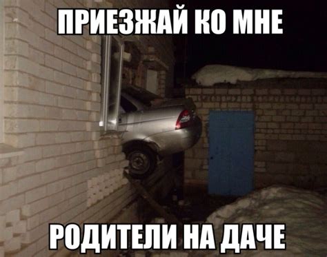 Прикольные картинки про дачу (50+ фото) • Лучшие картинки