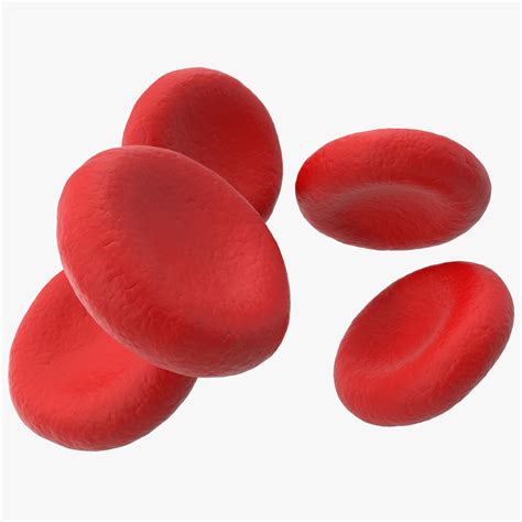 Single Red Blood Cell