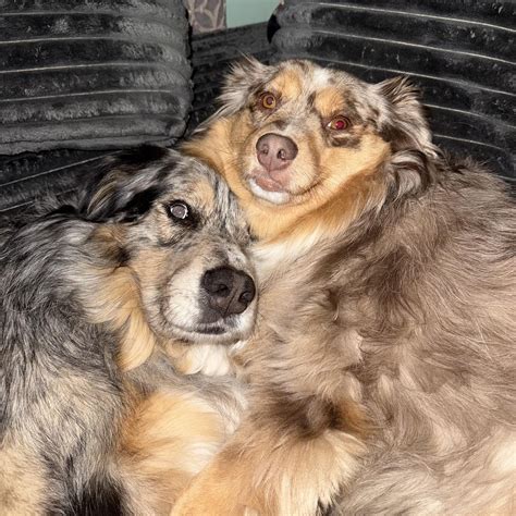 Route 66 Schedule: Stonehouse, Stroud, and Cheltenham Services 15