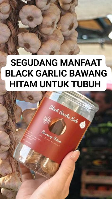 salwa black garlic bawang putih hitam  bawang putih biasa