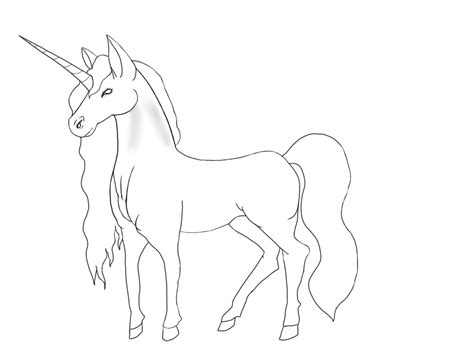 unicorn  drawing  paintingvalleycom explore collection