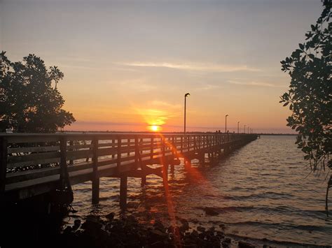 Southwest Florida Sights And Scenes