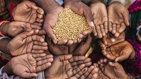 World hunger: Almost 700 million people are going hungry worldwide ...