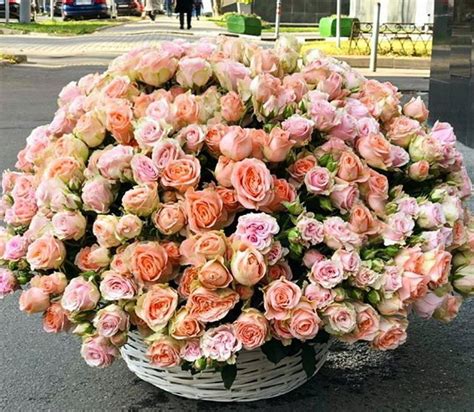 Кустовые розы в корзине купить в Иркутске