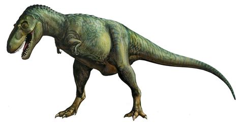 Иллюстрация Персонажи Gorgosaurus (динозавры) в стиле 2d