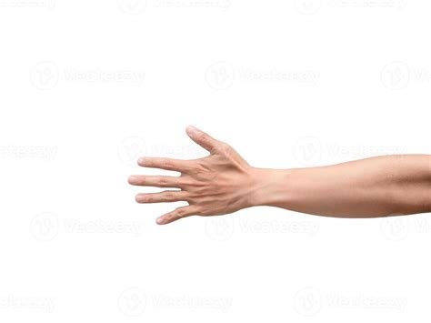 man arm stock  images  backgrounds
