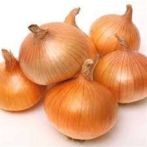 bawang holland kg harga review ulasan terbaik  malaysia