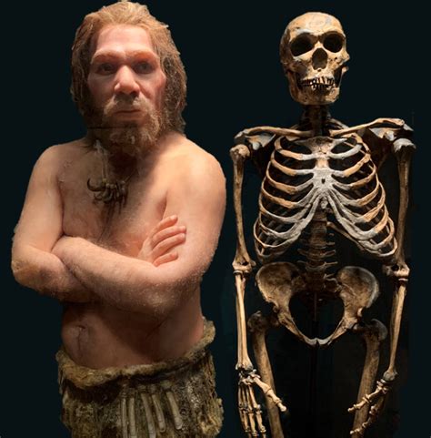 Neanderthal Body Reconstruction