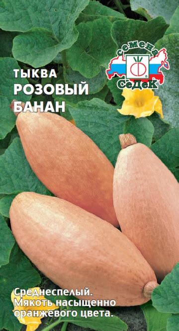 Купить Тыква "Седек" Розовый банан 1 г в Онсад.ру с доставкой Почтой