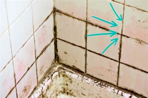 How To Get Mould Off The Shower at Adolph Gutierrez blog