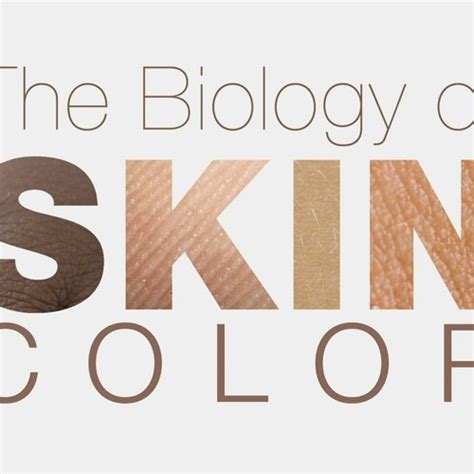 Hhmi The Biology Of Skin Color