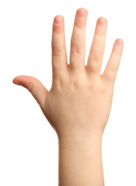 palm hands kid images    freepik